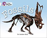 Book Fossils (collins Big Cat) free