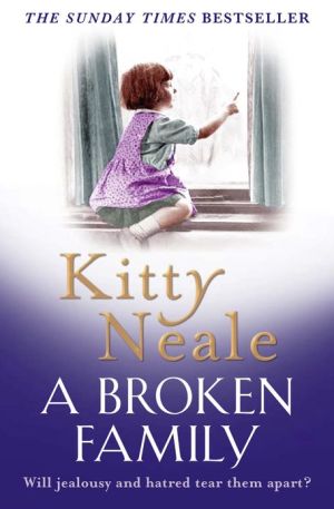 Book A Broken Family: An emotional, gripping saga from the Sunday Times bestseller free