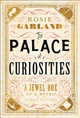 Book The Palace of Curiosities free