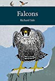 Book Falcons (Collins New Naturalist Library) (New Naturalist Library: A Survey of British Natural History) free