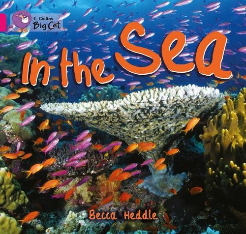 Book In the Sea (Collins Big Cat) free
