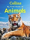 Book My First Book of Animals free