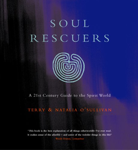 Book Soul Rescuers: A 21st century guide to the spirit world free