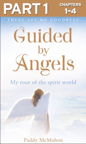 Book Guided By Angels: Part 1 of 3: There Are No Goodbyes, My Tour of the Spirit World free