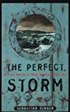 Book The Perfect Storm free