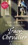 Book Girl with a Pearl Earring / Falling Angels free