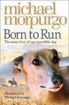 Book Born To Run free