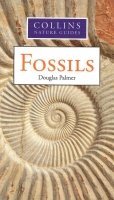 Book Collins Nature Guides Fossils free