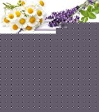 Book The Complete Essential Oils Sourcebook: A Practical Approach to the Use of Essential Oils for Health and Well-Being free