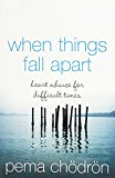 Book When Things Fall Apart free