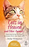 Book Cats in Heaven (Harpertrue Fate - A Short Read) free