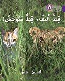 Book Collins Big Cat Arabic – Tame Cat, Wild Cat: Level 8 free