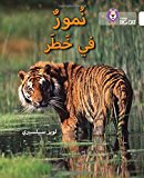 Book Collins Big Cat Arabic – Tigers in Danger: Level 10 free