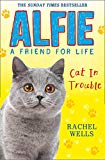 Book Alfie Cat in Trouble (Alfie A Friend for Life) free