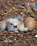Book What's in the Egg?: (Level 4) (Collins Big Cat Arabic) free