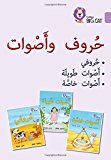 Book Letters and Sounds Big Book: Level 1 (KG) (Collins Big Cat Arabic) free