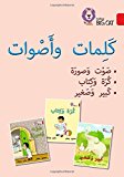 Book Words and Sounds Big Book: Level 2 (KG) (Collins Big Cat Arabic) free