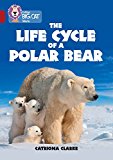 Book Collins Big Cat – The Life Cycle of a Polar Bear: Band 14/Ruby free