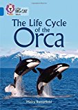 Book Collins Big Cat – The Life Cycle of the Orca: Band 16/Sapphire free