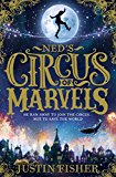 Book Ned’s Circus of Marvels (Ned’s Circus of Marvels, Book 1) free