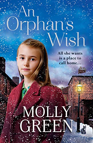 Book An Orphan’s Wish: The new, most heartwarming historical fiction novel you will read this year free
