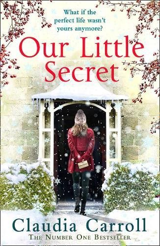 Book Our Little Secret free
