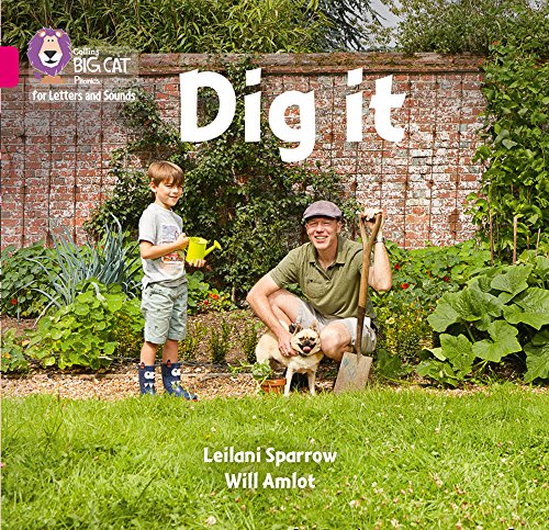 Book Dig It: Band 1B/Pink B (Collins Big Cat Phonics) free