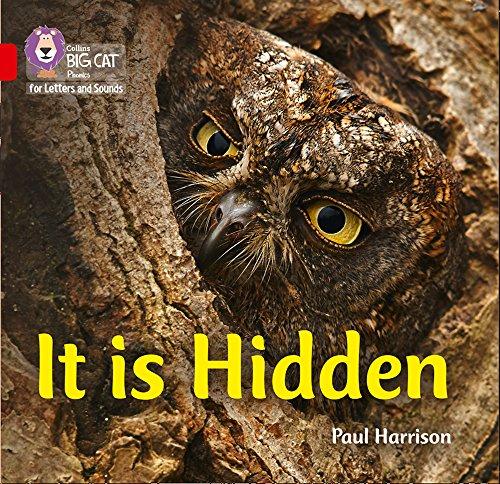 Book It Is Hidden: Band 2B/Red B (Collins Big Cat Phonics) free