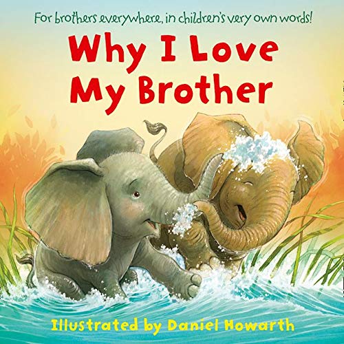 Book Why I Love My Brother free