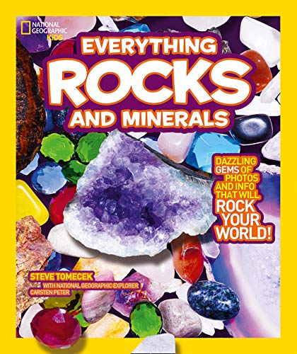 Book Everything: Rocks and Minerals free