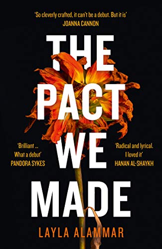 Book The Pact We Made free