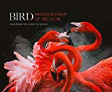 Book Bird Photographer of the Year: Collection 3 free