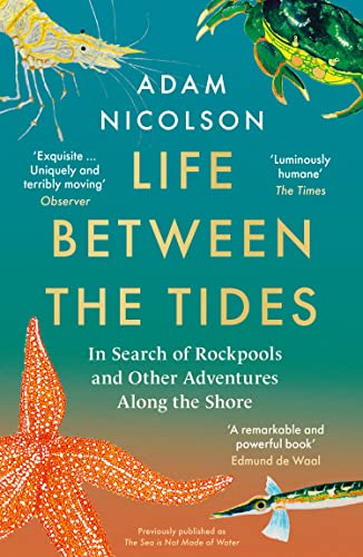 Book Life Between the Tides: In Search of Rockpools and Other Adventures Along the Shore free