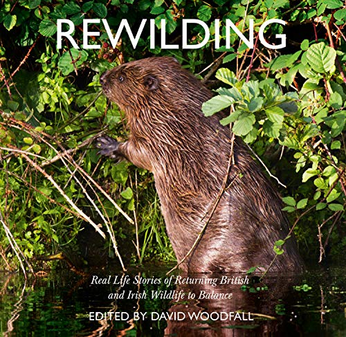 Book Rewilding: Real Life Stories of Returning British and Irish Wildlife to Balance free