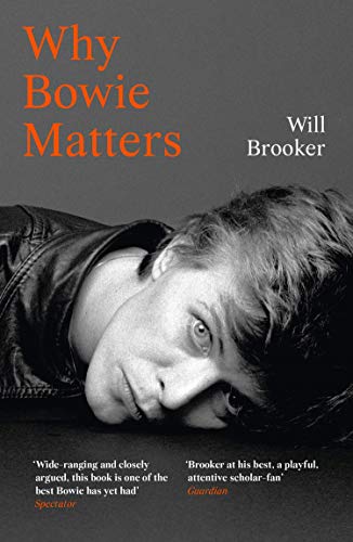 Book Why Bowie Matters free