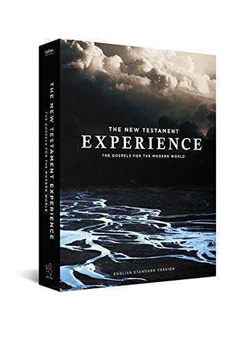 Book The New Testament Experience: The Gospels for the Modern World free
