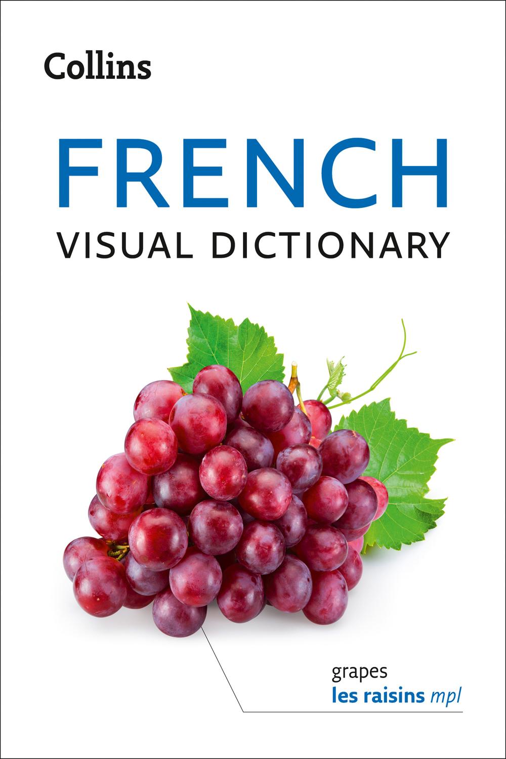 Book French Visual Dictionary: A photo guide to everyday words and phrases in French (Collins Visual Dictionary) free