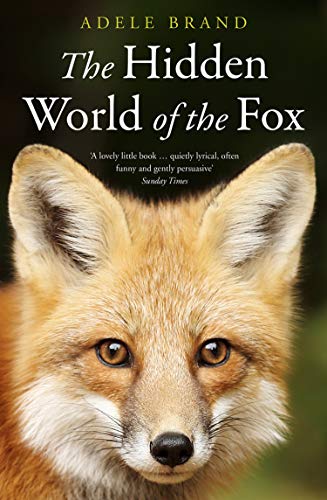 Book The Hidden World of the Fox free