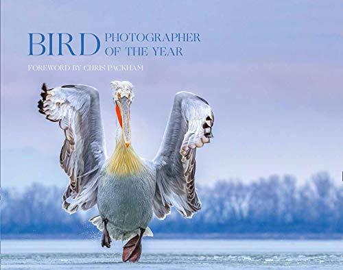 Book Bird Photographer of the Year: Collection 4 (Bird Photographer of the Year) free