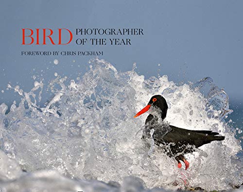 Book Bird Photographer of the Year: Collection 5 (Bird Photographer of the Year) free