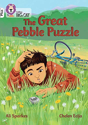 Book The Great Pebble Puzzle: Band 10+/White Plus (Collins Big Cat) free
