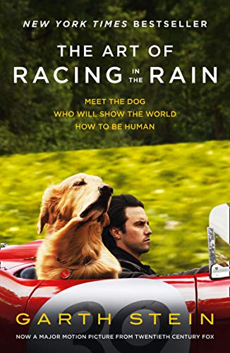 Book The Art of Racing in the Rain free