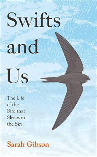 Book Swifts and Us: The Life of the Bird that Sleeps in the Sky free