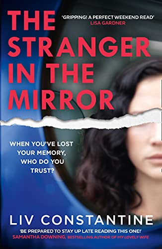 Book The Stranger in the Mirror free