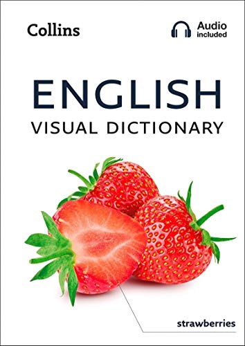 Book English Visual Dictionary free
