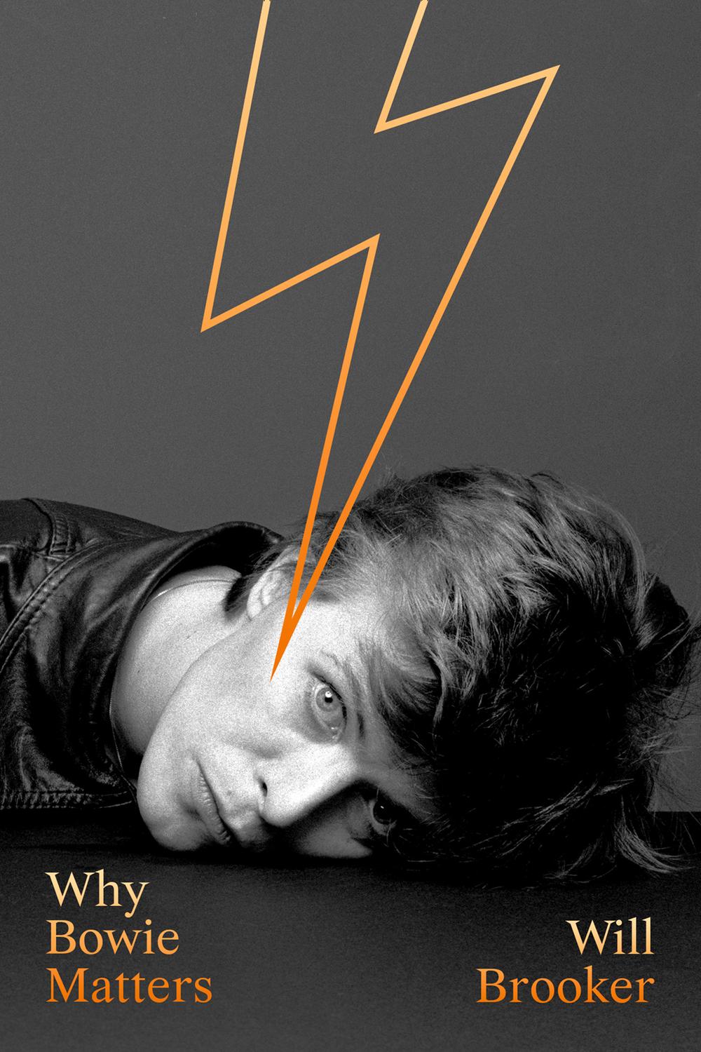 Book Why Bowie Matters free