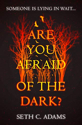 Book Are You Afraid of the Dark?: A tense, gripping new crime thriller which will keep you on the edge of your seat! free