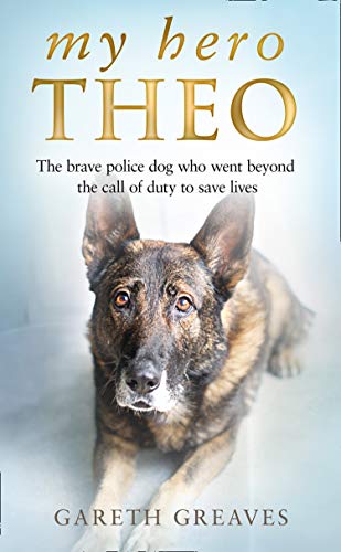 Book My Hero Theo free