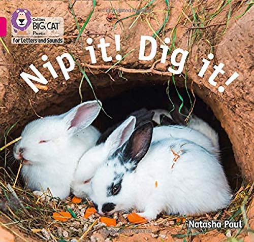 Book Nip it! Dig it!: Band 01B/Pink B (Collins Big Cat Phonics for Letters and Sounds) free