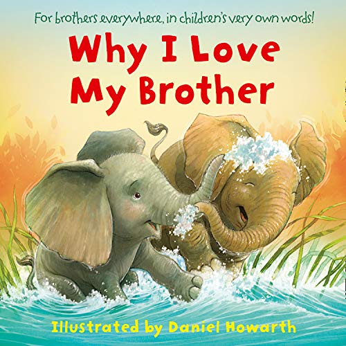 Book Why I Love My Brother free